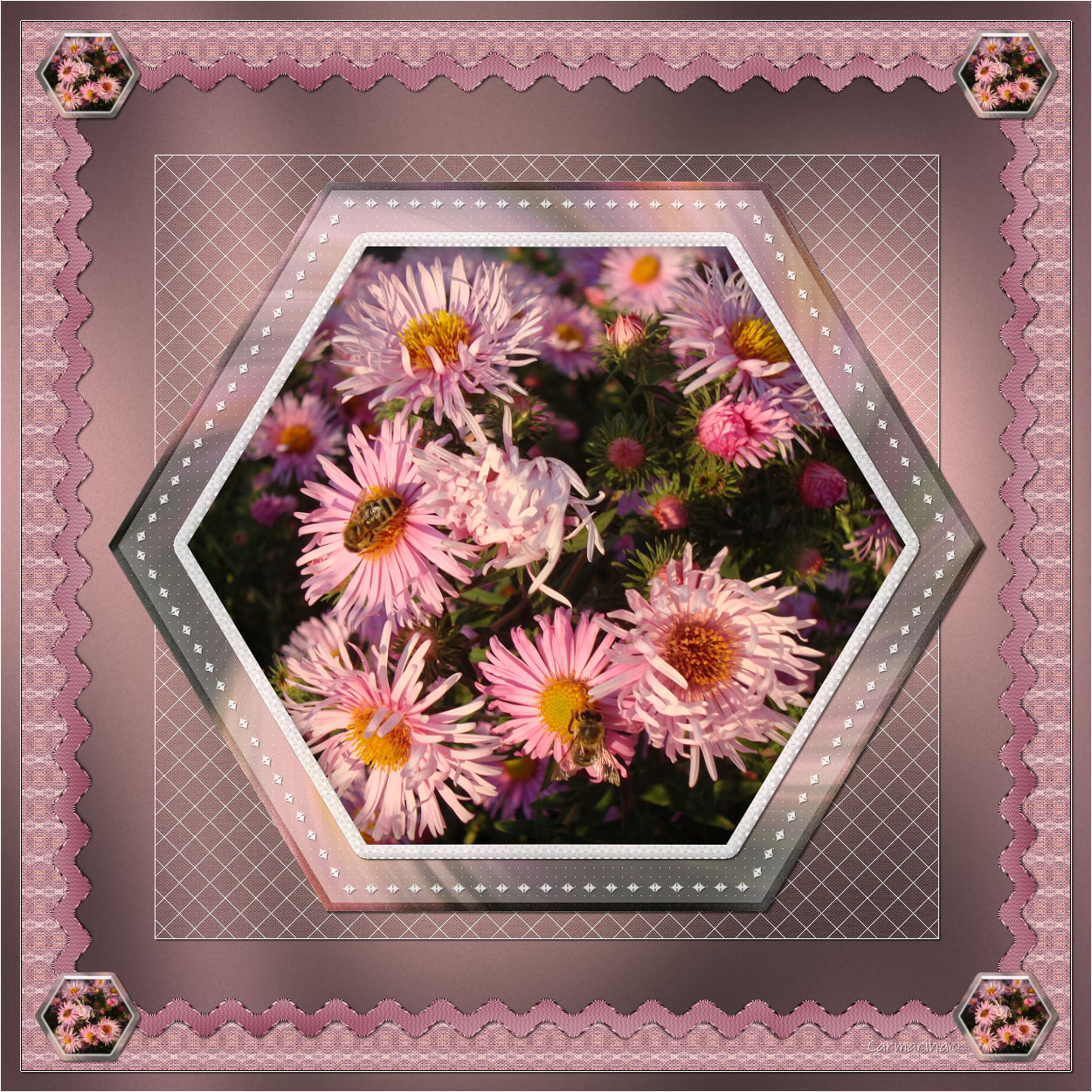 carmariha_creacollage_aster