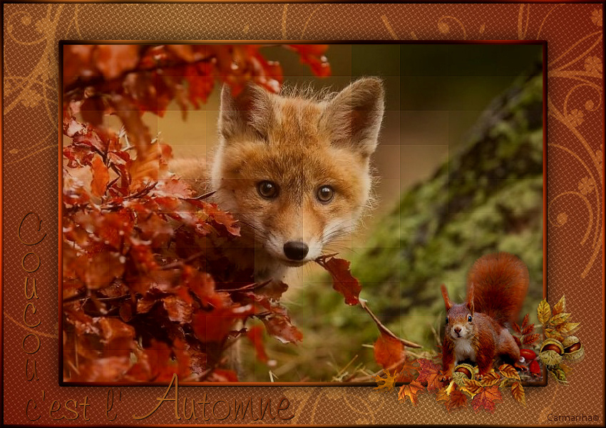 tag_c_est_l_automne