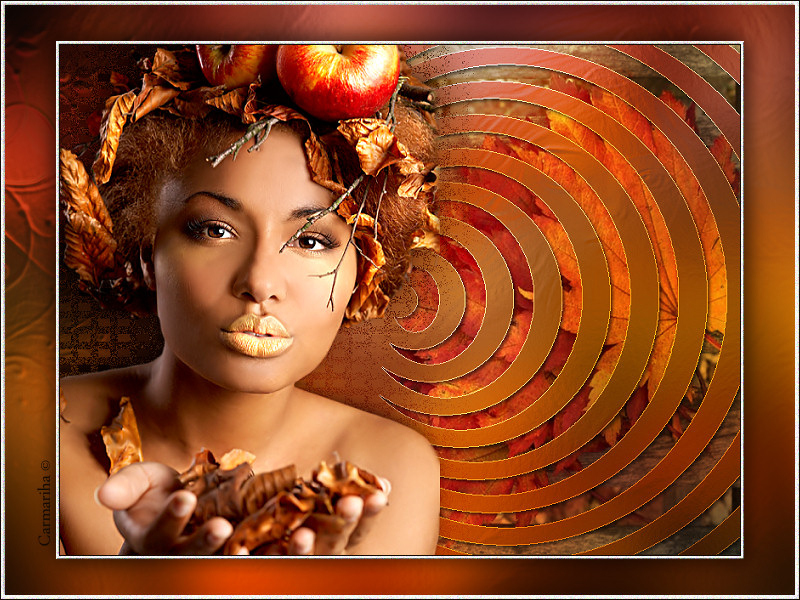 tag_feuilles_d_automne