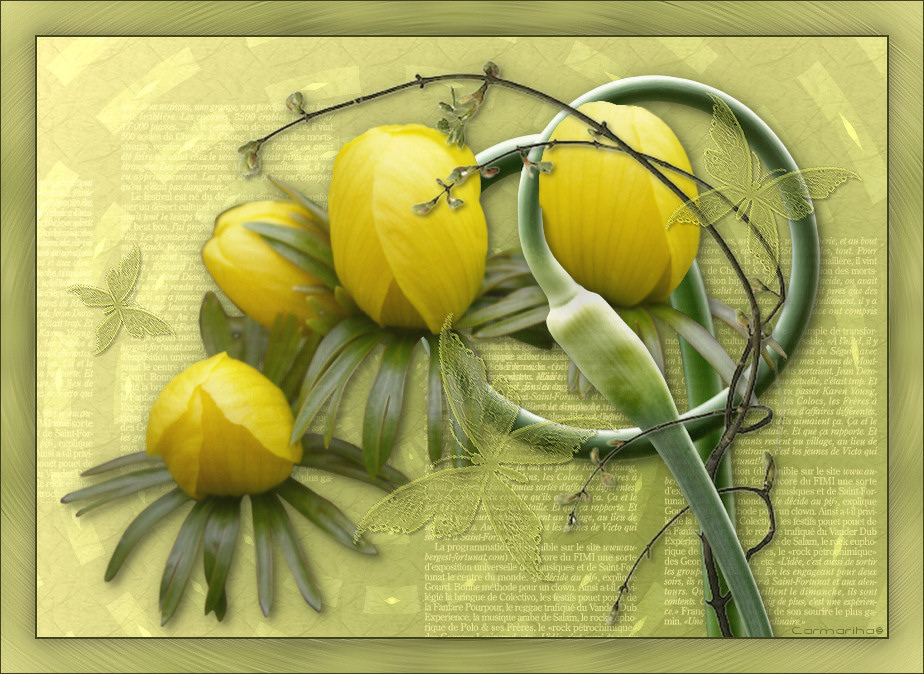 tag_floraison