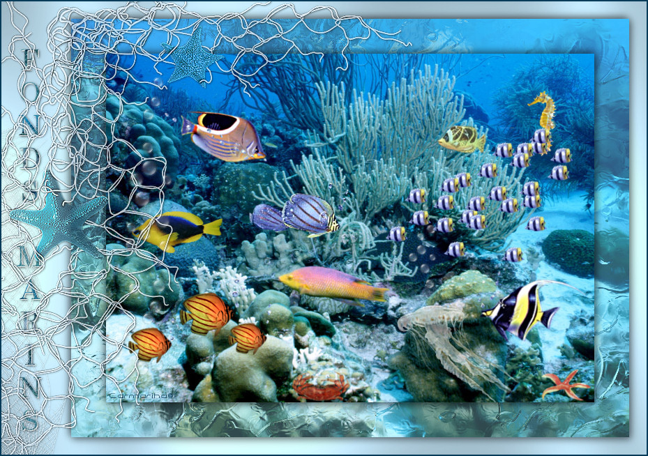 tag_fonds_marins