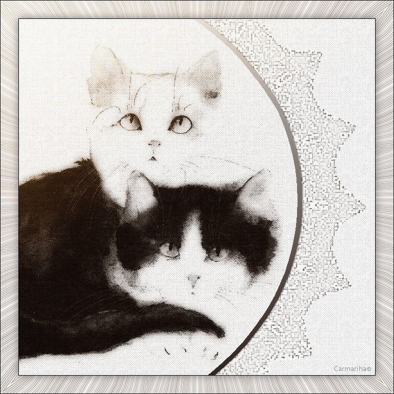 tag_les_chats_dede