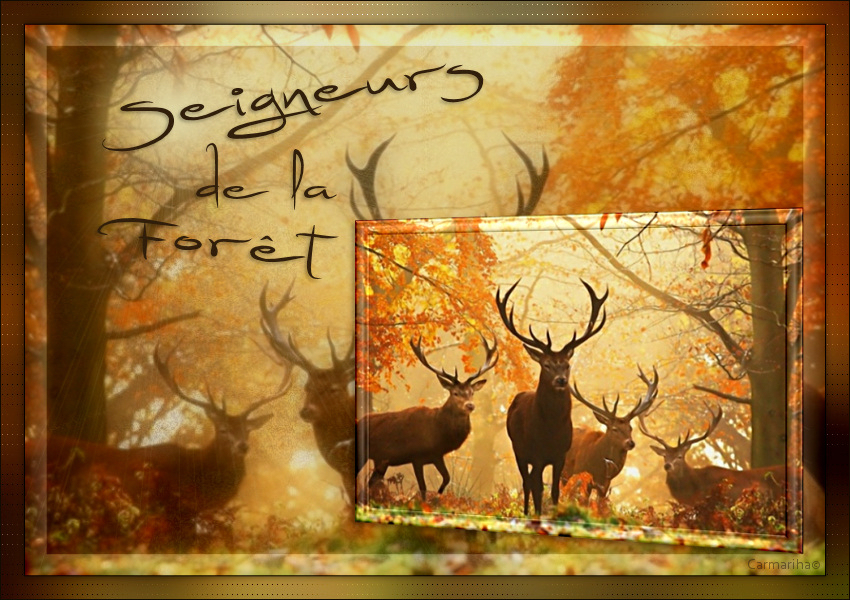 tag_seigneurs_de_la_foret